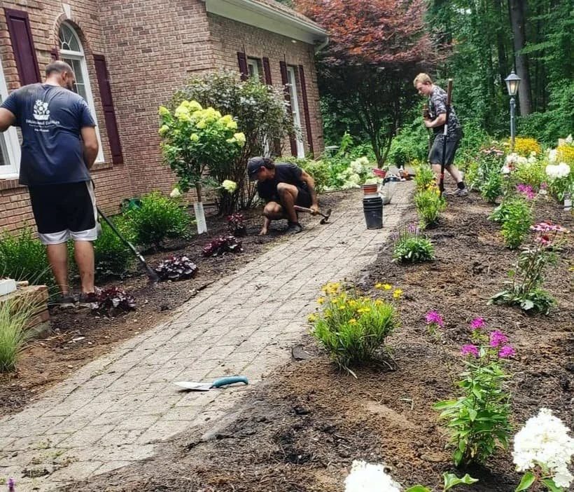The Daisies and Dahlias crew planting beside a garden walkway